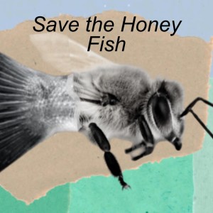 Save the Honey Fish