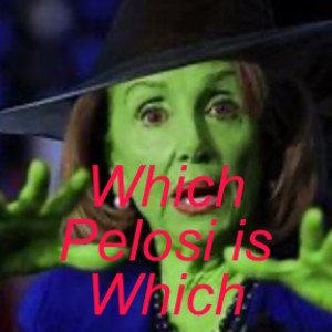 Which Pelosi is Which