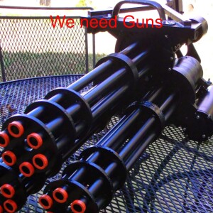 We Need Guns