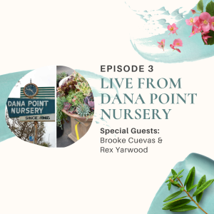 Live from Dana Point Nursery · Brooke Cuevas & Rex Yarwood