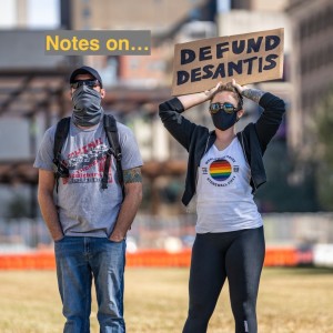 Notes on The American Age- “Don’t Say Gay” Bills: Representations vs Realities