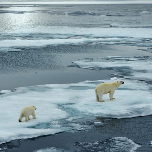 Climate Change: It's the End of the World as We Know It and I Feel...