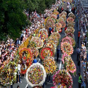 La Feria de las Flores