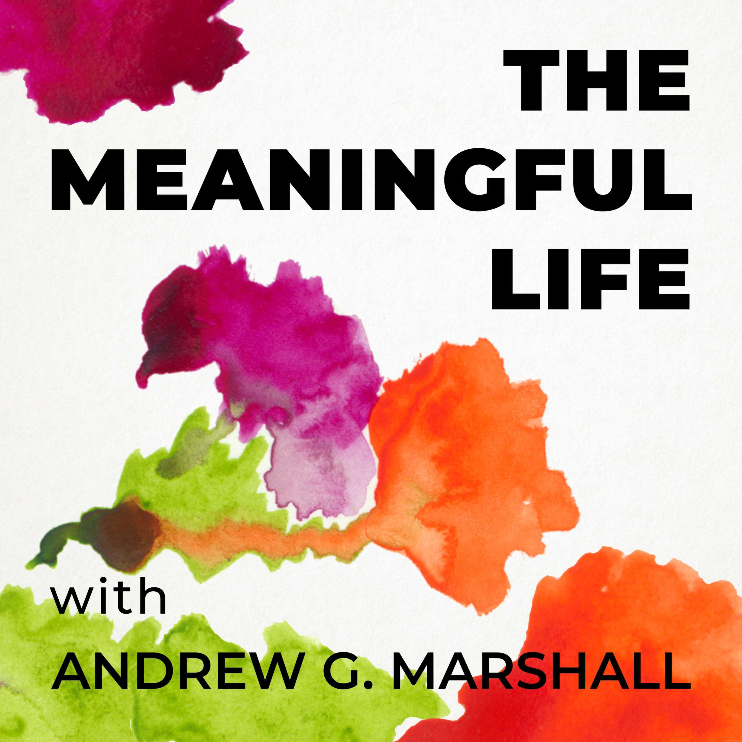 Dr. Paula Hall: Porn and Sex Addiction | The Meaningful Life with Andrew G.  Marshall