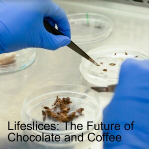 The Future of Chocolate and Coffee