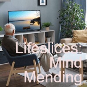 Lifeslices: Mind Mending
