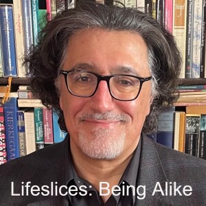 Lifeslices: Being Alike