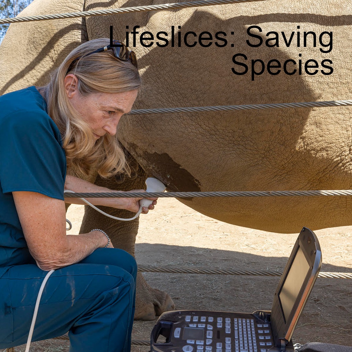 Lifeslices with Steve Fisher