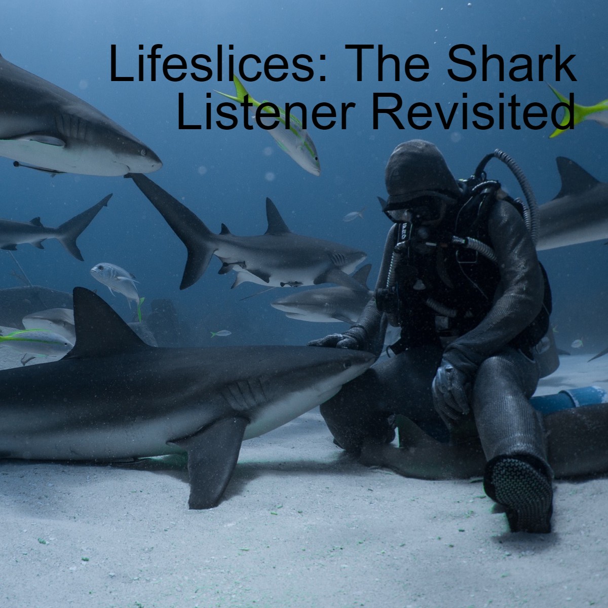 Lifeslices with Steve Fisher
