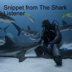 Snippet from The Shark Listener