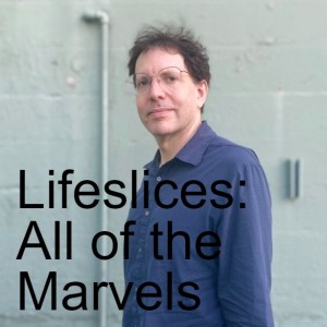 Lifeslices: All of the Marvels