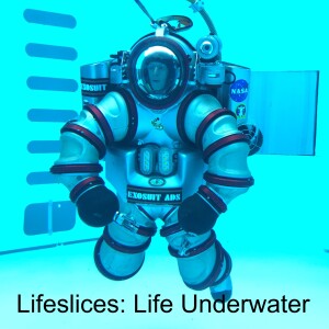 Lifeslices: Life Underwater