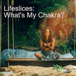 Lifeslices: What’s my chakra?