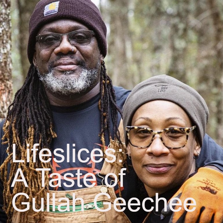 Lifeslices with Steve Fisher