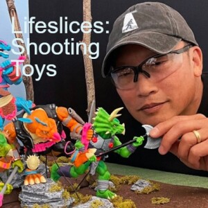 Lifeslices: Shooting Toys