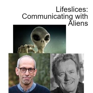 Lifeslices: Communicating with Aliens