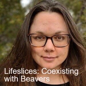 Lifeslices: Coexisting with Beavers