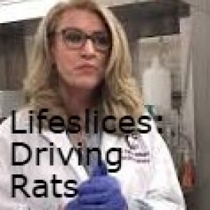 Lifeslices: Driving Rats