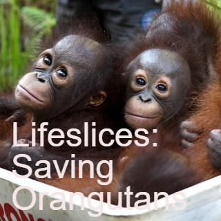 Lifeslices with Steve Fisher