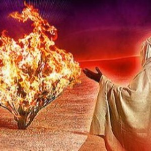 Inside The Burning Bush, Third Sunday of Lent-A, March 20, 2022