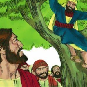 Zacchaeus! (31st Sunday-C)