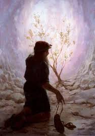 The Burning Bush, 3rd Sunday of Lent-C, 2016-02-28