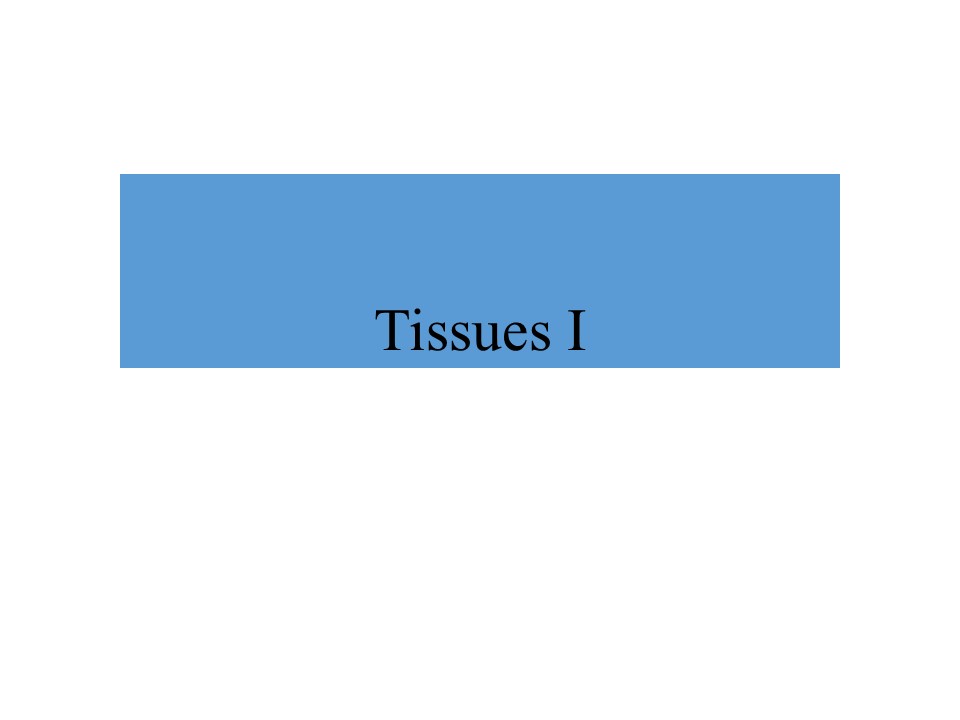 Lecture 08 Tissues-1 09/20/2016 BIO 20A