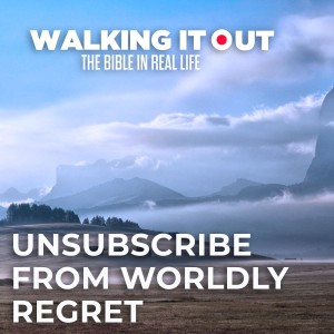 Unsubscribe From Worldy Regret