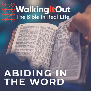 Abiding In The Word