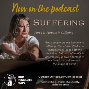 Suffering.  Part 14.  Purpose in Suffering