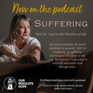 Suffering.  Part 16.  Trust in the Trenches of Life