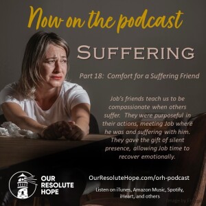 Suffering.  Part 18.  Comfort for a Suffering Friend