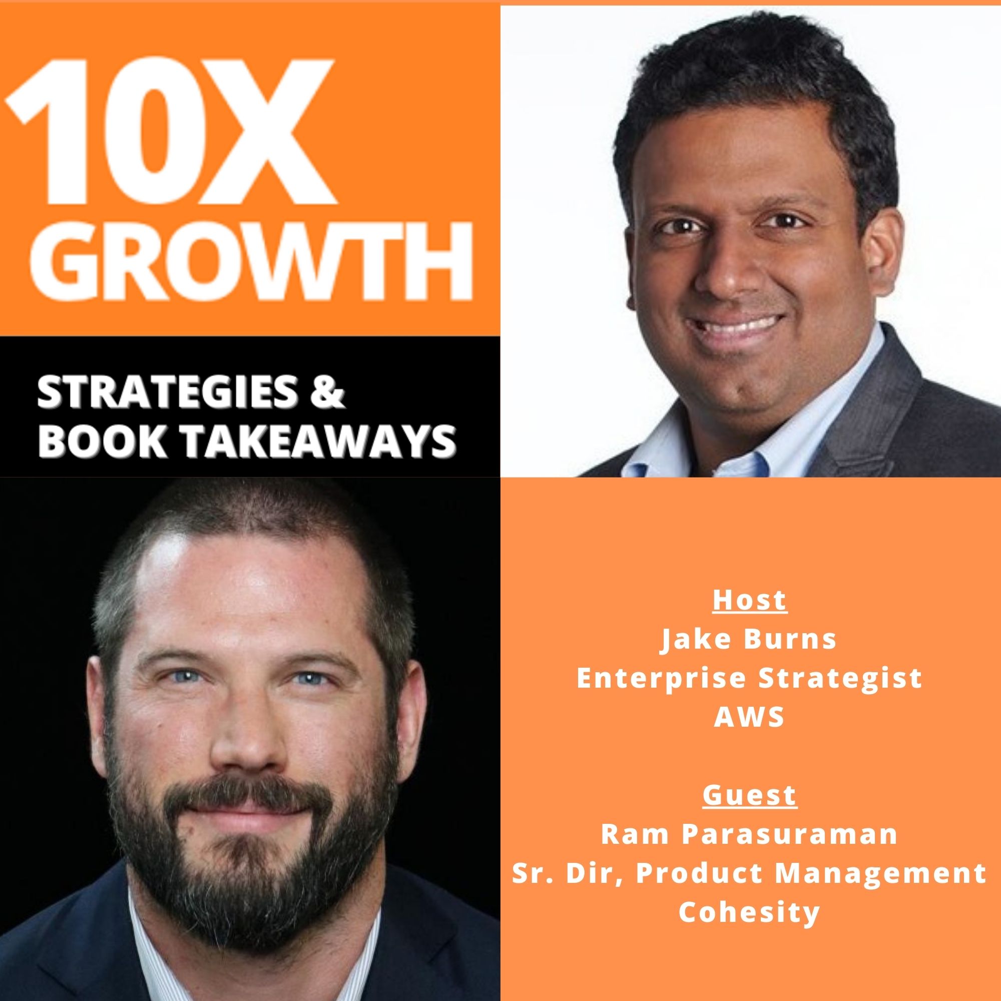 10X Growth Strategies