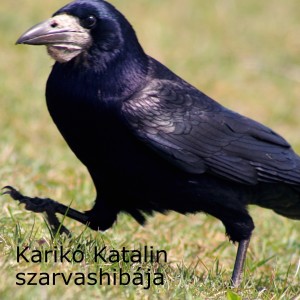 Karikó Katalin szarvashibája