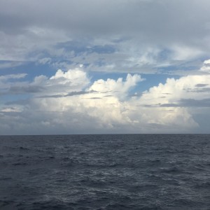Setting Sail