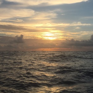 Back to the Sun and Stars