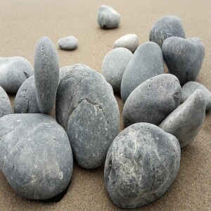 More about Narcissistic personality disorder. To be a gray stone
