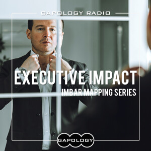 Executive Impact: IMBAR Mapping Series