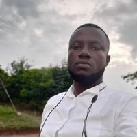 ankamahfordjourernest