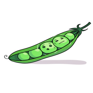 A little info about Two Anxious Peas