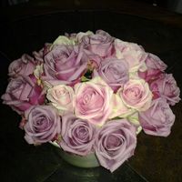 caroleelliott23ce