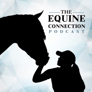 Understanding and Managing Equine Gastric Ulcers