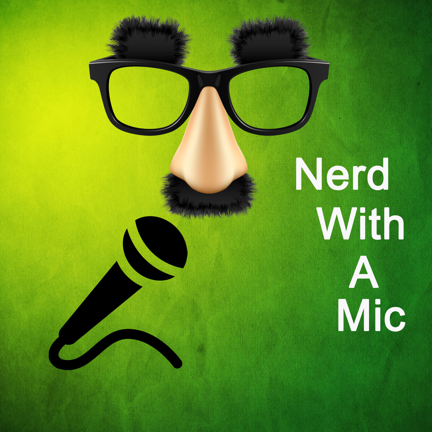 Nerd With A Mic