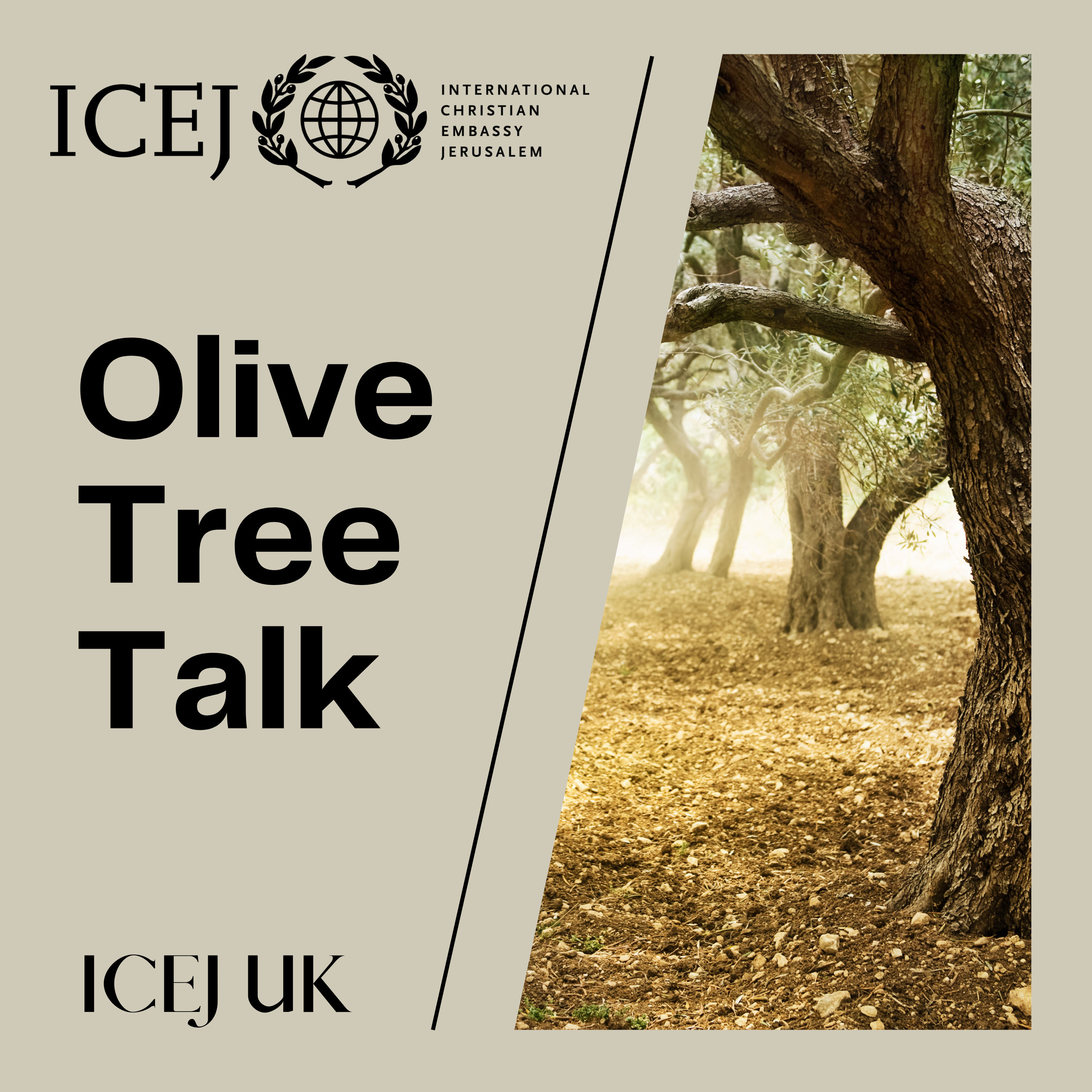 Olive Tree Talk