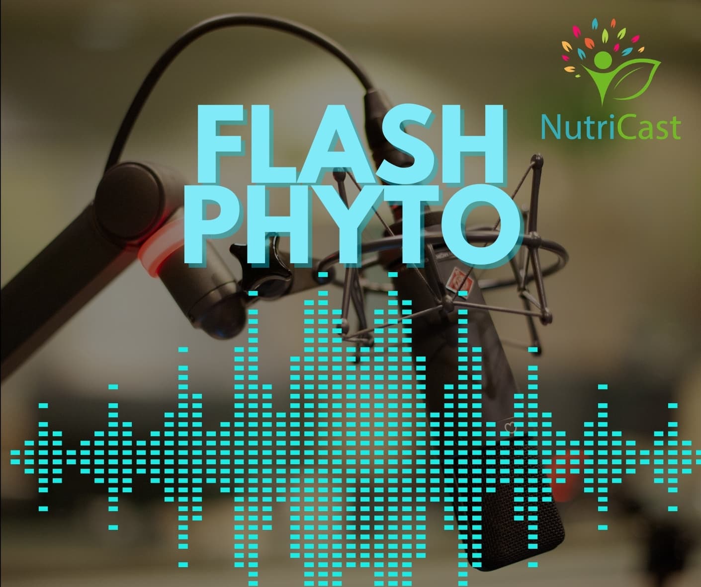 Flash Phyto