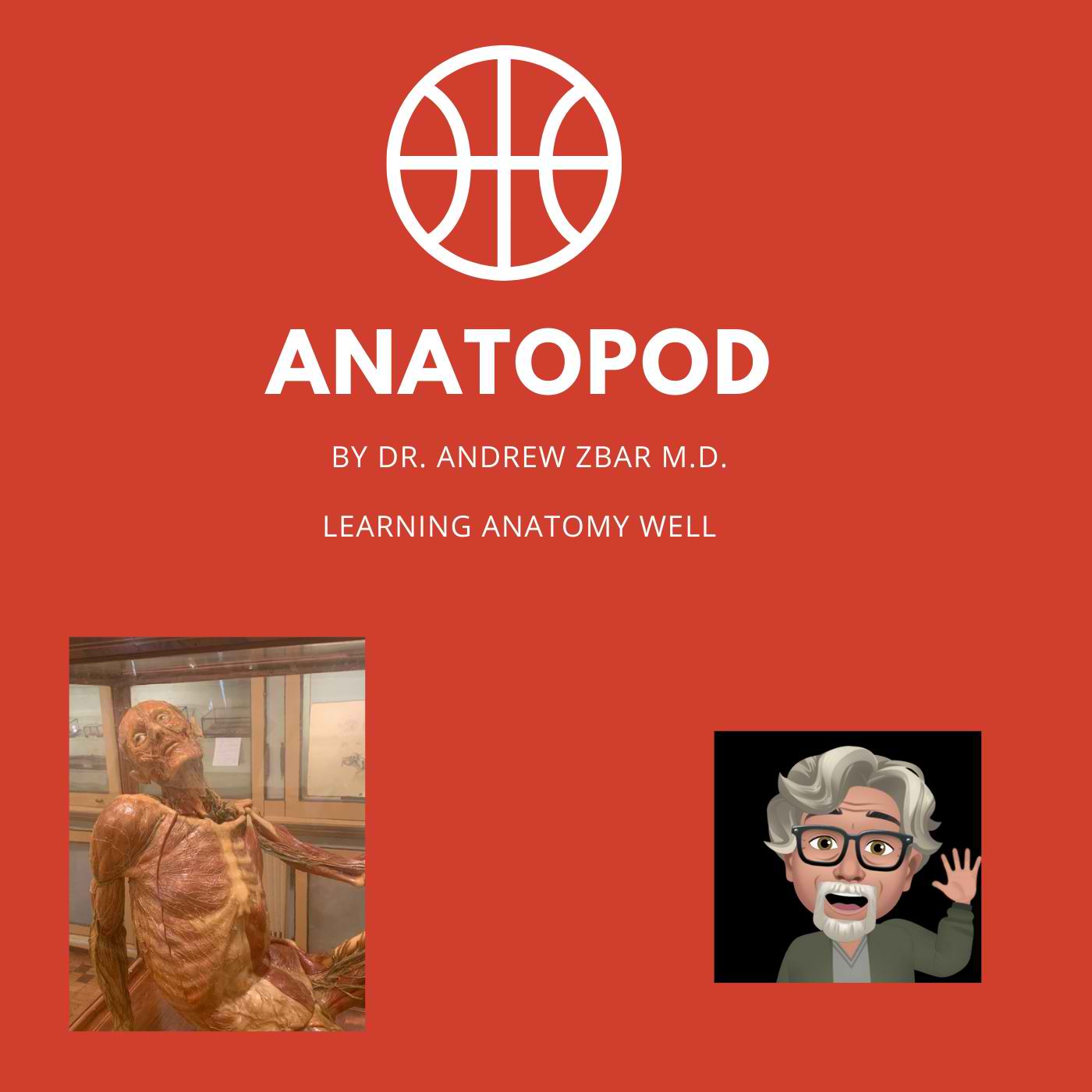 ANATOPOD - The Anatomy Podcast