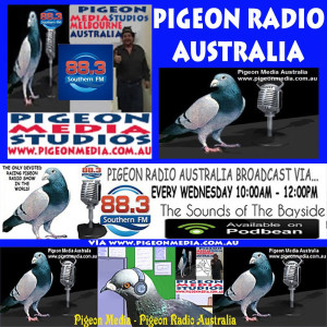 Pigeon Radio Australia Wednesday, 1st December 2021