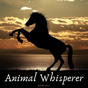 Animal Whisperer Podcast # 100 "Bringing Home a New Horse"