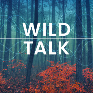 Introducing: Wild Talk