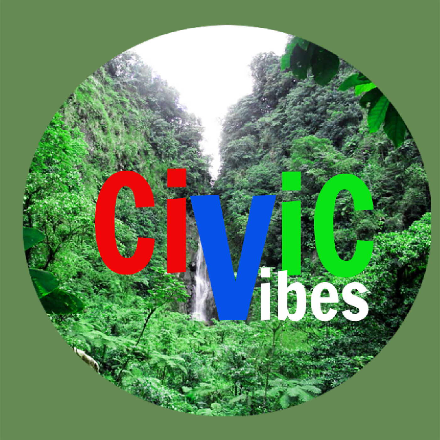 Civic Vibes Program